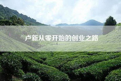 卢新从零开始的创业之路