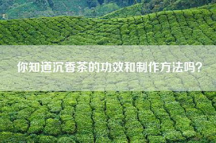 你知道沉香茶的功效和制作方法吗？
