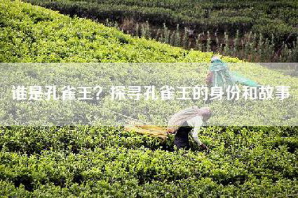 谁是孔雀王？探寻孔雀王的身份和故事