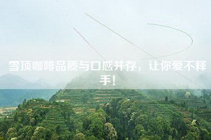 雪顶咖啡品质与口感并存，让你爱不释手！