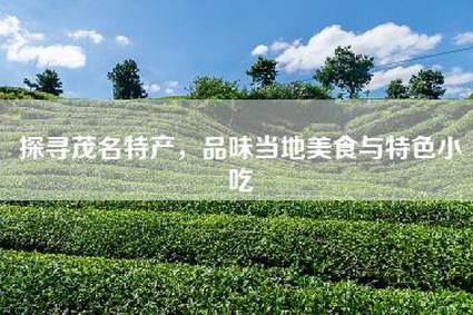 探寻茂名特产，品味当地美食与特色小吃