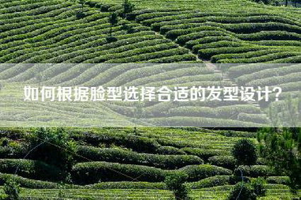 如何根据脸型选择合适的发型设计？