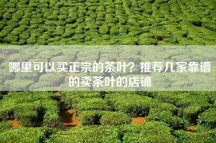 哪里可以买正宗的茶叶？推荐几家靠谱的卖茶叶的店铺