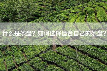 什么是茶盘？如何选择适合自己的茶盘？