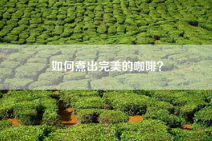 如何煮出完美的咖啡？