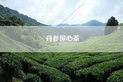 丹参保心茶