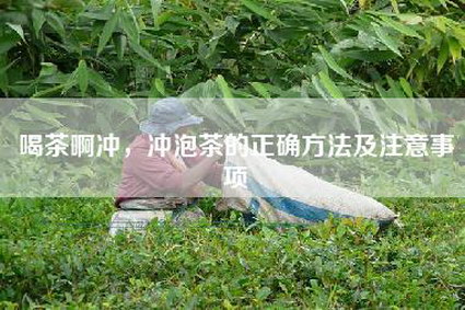 喝茶啊冲，冲泡茶的正确方法及注意事项