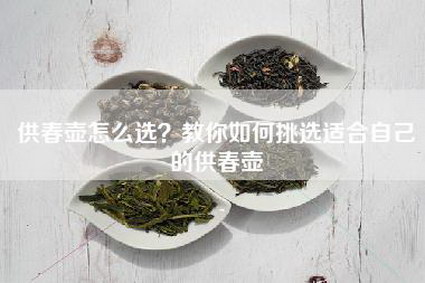 供春壶怎么选？教你如何挑选适合自己的供春壶
