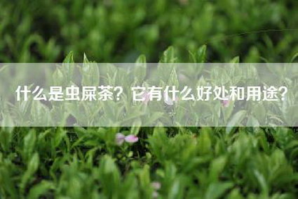 什么是虫屎茶？它有什么好处和用途？