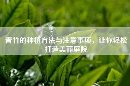 青竹的种植方法与注意事项，让你轻松打造美丽庭院