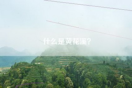什么是黄花溪？