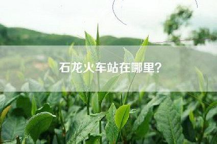 石龙火车站在哪里？