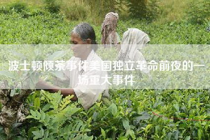 波士顿倾茶事件美国独立革命前夜的一场重大事件