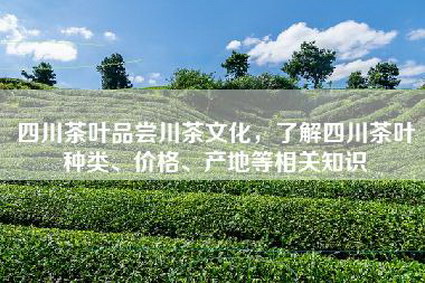 四川茶叶品尝川茶文化，了解四川茶叶种类、价格、产地等相关知识