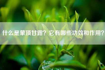 什么是蒙顶甘露？它有哪些功效和作用？