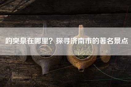 趵突泉在哪里？探寻济南市的著名景点