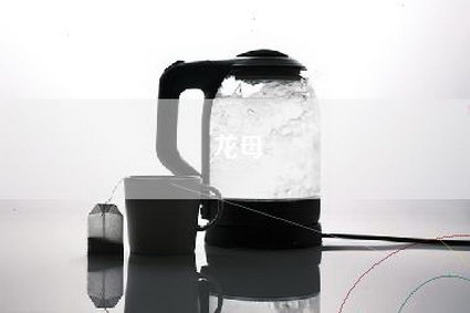 龙母