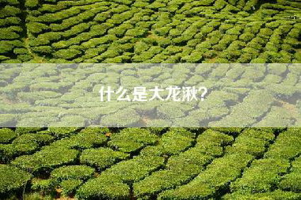 什么是大龙湫？