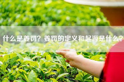 什么是姜罚？姜罚的定义和起源是什么？