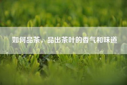 如何品茶，品出茶叶的香气和味道