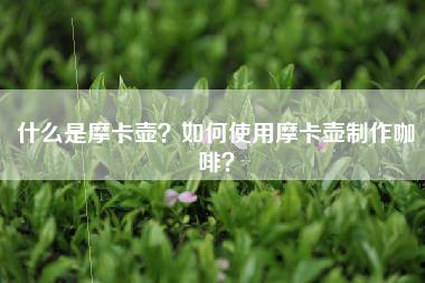 什么是摩卡壶？如何使用摩卡壶制作咖啡？