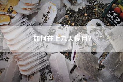 如何在上九天揽月？