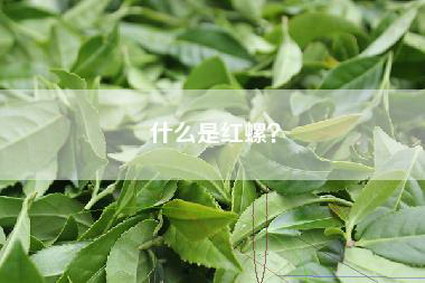 什么是红螺？