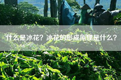 什么是冰花？冰花的形成原理是什么？