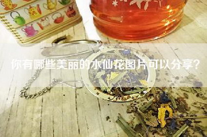 你有哪些美丽的水仙花图片可以分享？