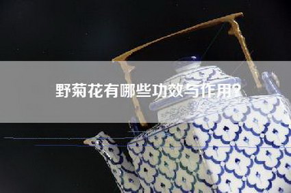 野菊花有哪些功效与作用？