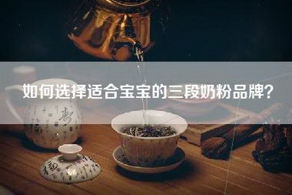如何选择适合宝宝的三段奶粉品牌？