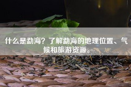 什么是勐海？了解勐海的地理位置、气候和旅游资源。
