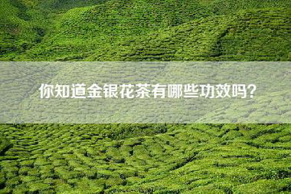 你知道金银花茶有哪些功效吗？