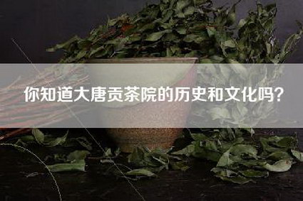 你知道大唐贡茶院的历史和文化吗？