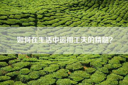 如何在生活中运用工夫的精髓？