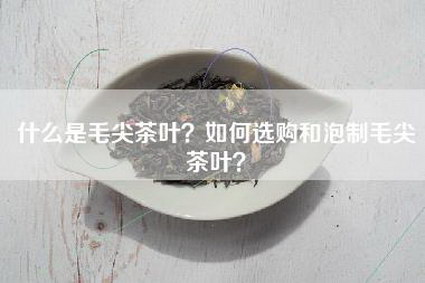 什么是毛尖茶叶？如何选购和泡制毛尖茶叶？