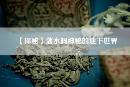 【探秘】落水洞神秘的地下世界