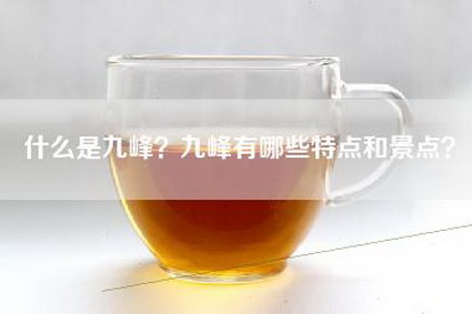 什么是九峰？九峰有哪些特点和景点？