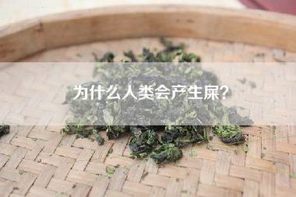 为什么人类会产生屎？