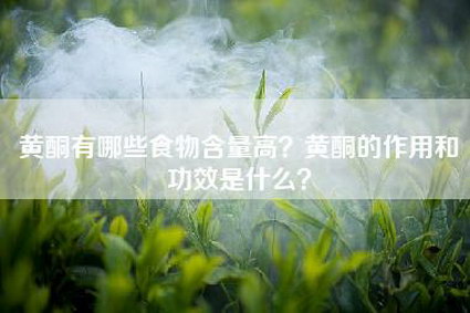 黄酮有哪些食物含量高？黄酮的作用和功效是什么？