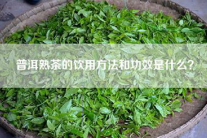 普洱熟茶的饮用方法和功效是什么？
