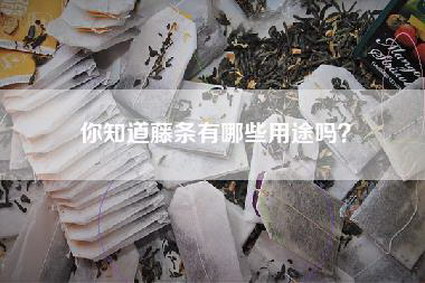 你知道藤条有哪些用途吗？