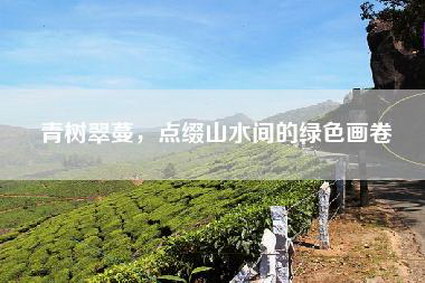 青树翠蔓，点缀山水间的绿色画卷