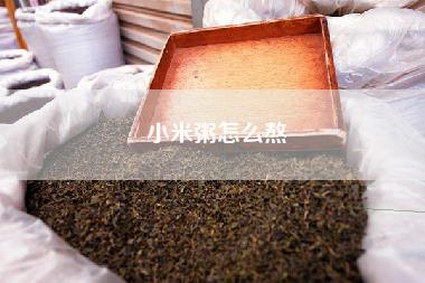 小米粥怎么熬