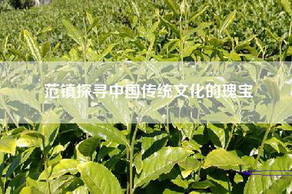 范镇探寻中国传统文化的瑰宝