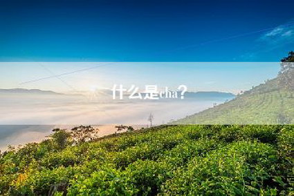 什么是cha？