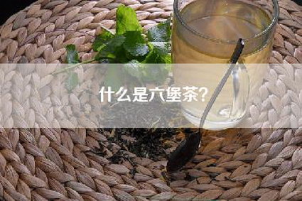 什么是六堡茶？