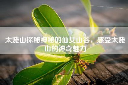 太姥山探秘神秘的仙女山谷，感受太姥山的神奇魅力