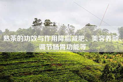 熟茶的功效与作用降脂减肥、美容养颜、调节肠胃功能等