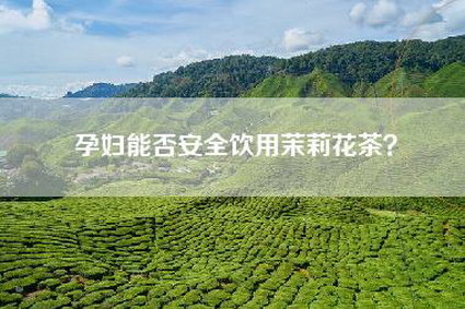 孕妇能否安全饮用茉莉花茶？